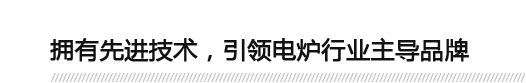 擁有先進(jìn)技術(shù)，引領(lǐng)電爐行業(yè)主導(dǎo)品牌